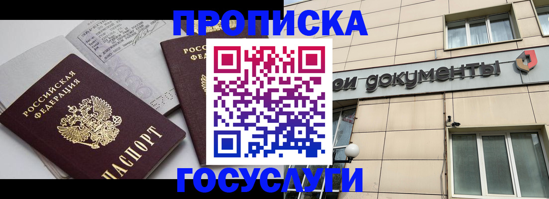 временная регистрация поиск в Курской области